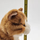Toys R Us 2012 Realistic Orange White Tabby Kittie Cat Plush Stuffed Animal 10"