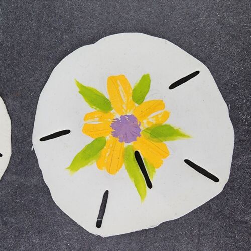 7 Hand Painted Sand Dollars Simple Flowers Sizes 3" to 3.5" Across Vintage