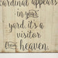 When A Cardinal Appears Ganz Wall Plaque Sign 18" x 22” Hanging Home Décor