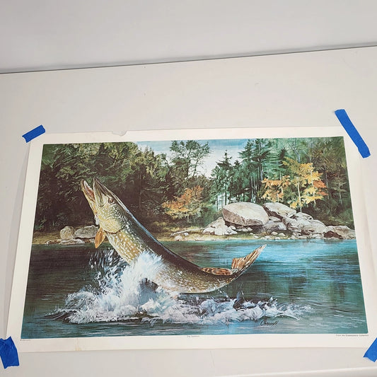 Art by Chappell THE NORTHERN Pike Fishing Art Print Rolled Wall Décor Vintage