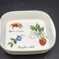 Apilco Elysian Gardens 11" Square Baker Roaster Porcelain Fruit Design France