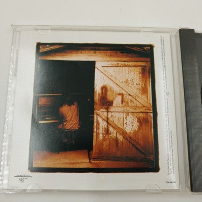 Set of 2 Joshua Kadison CD's Painted Desert Serenade 1993 and Delilah Blue 1995