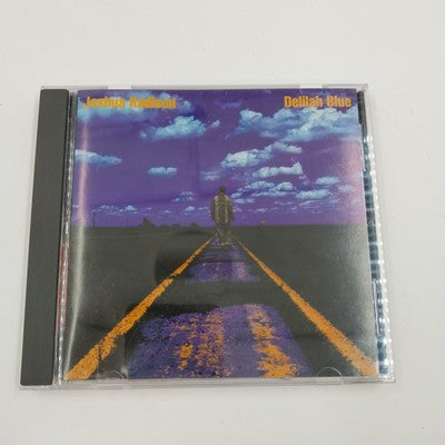 Set of 2 Joshua Kadison CD's Painted Desert Serenade 1993 and Delilah Blue 1995