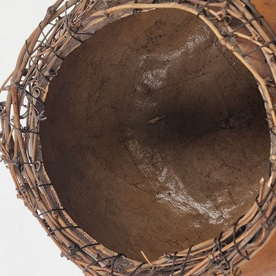Sun Dried Gourd Bowl Carved Floral The Wild Gourd Studio Lacy Vine Rim 10"x7.5"h