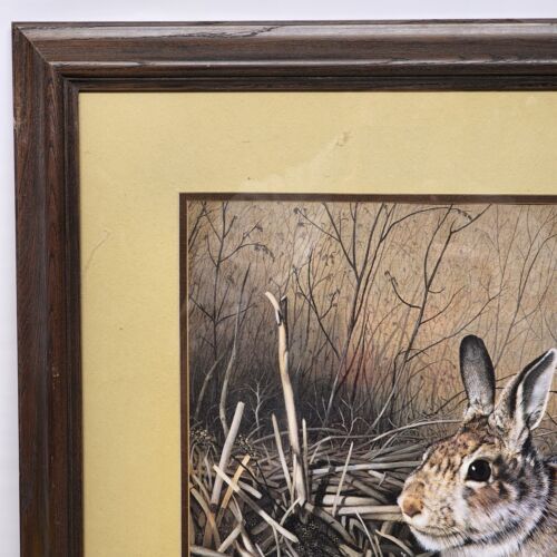 Charles Fracé MY FRIEND Rabbit Signed Limited Edition Print Framed Matted Story