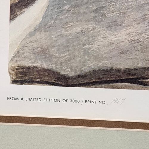 John A. Ruthven SHA-WNEE Signed Limited Edition Framed Lithograph Wildlife Art