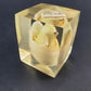 Lucite Paperweight Souvenir Florida Chick Egg Vintage Acrylic DaisyGlas 1970's