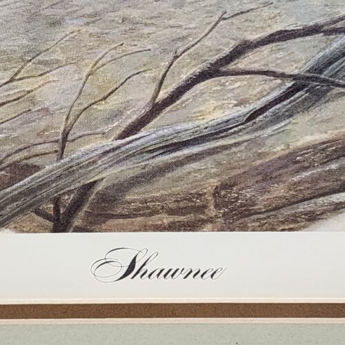 John A. Ruthven SHA-WNEE Signed Limited Edition Framed Lithograph Wildlife Art