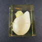 Lucite Paperweight Souvenir Florida Chick Egg Vintage Acrylic DaisyGlas 1970's