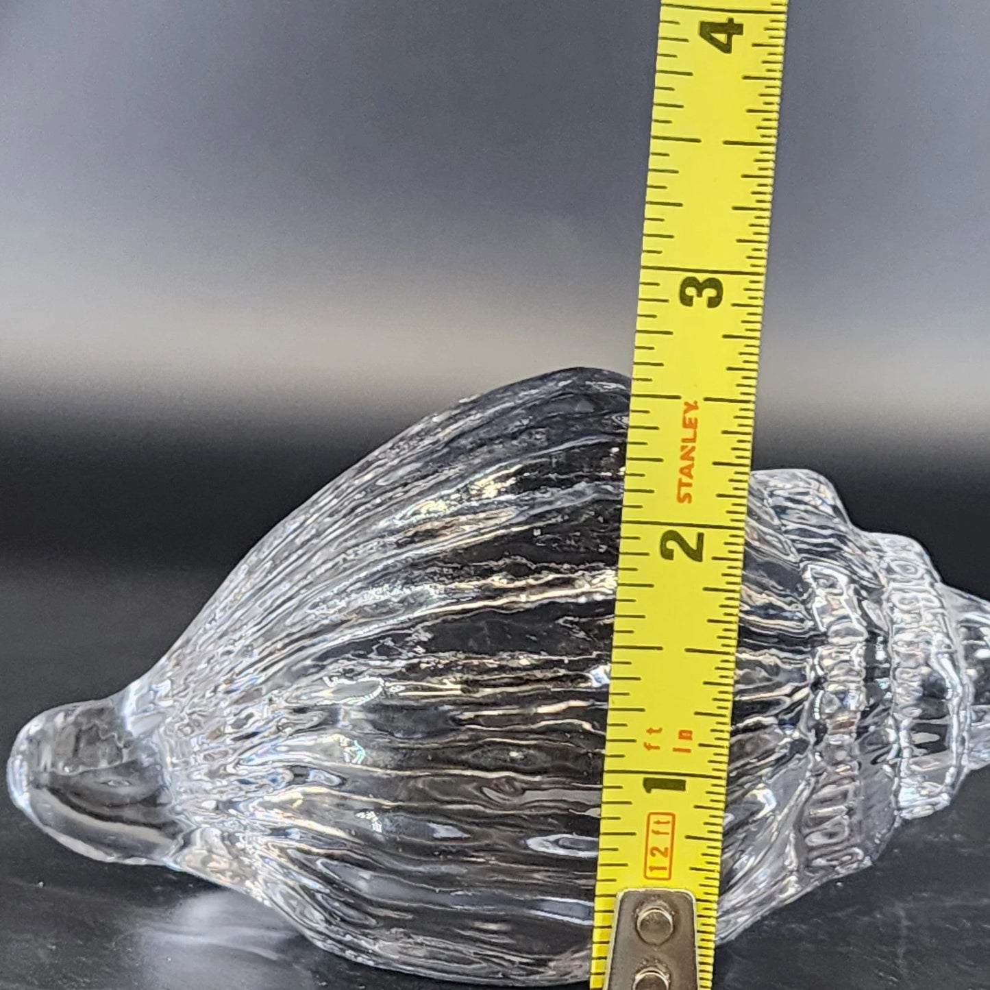 Clear Art Glass Conch Shell Paperweight Hand Blown Nautical Murano Style Decor