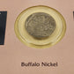 1936 Buffalo Nickel & USPS Buffalo Bill & Sitting Bull Stamp Set Folio COA 1988