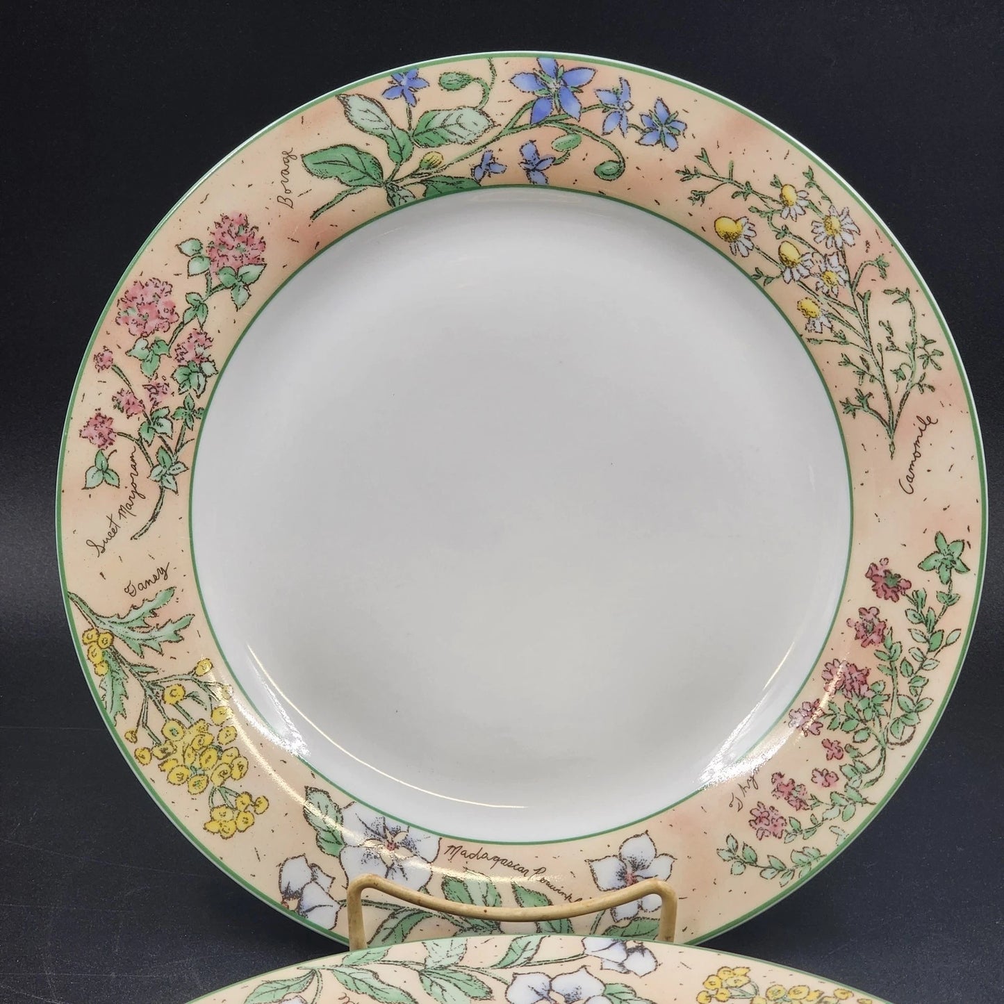 Sakura Sachet Dinner Plates 10.5" Set of 2 Sue Zipkin Herbs Floral 1996 Vintage