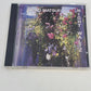 Keiko Matsui 5 CD Full Moon Shrine No Border Sapphire Night Waltz Cherry Blossom