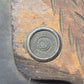Warranted Superior 26" Crosscut Hand Saw Wheat Carved Wood Handle Vintage