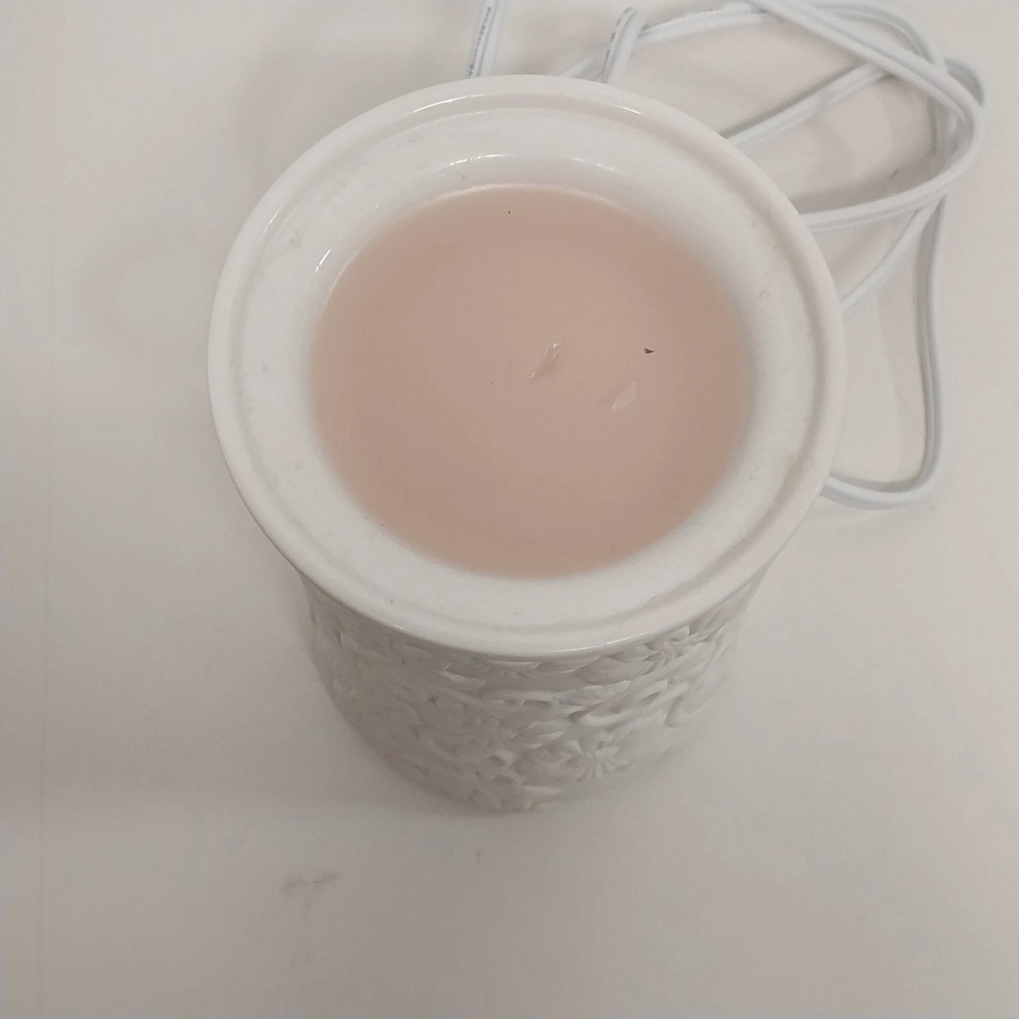 Scentsy Flower Vine Deluxe Electric Wax Warmer White Floral 1100-26978 Box China