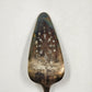 Winfield Fairfield Silver Plated Pie Cake Server 10"x2" Vintage
