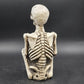 Halloween Resin Molded RIP Skeleton Grave Stone Serpent 13.5" Yard Decoration