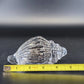 Clear Art Glass Conch Shell Paperweight Hand Blown Nautical Murano Style Decor