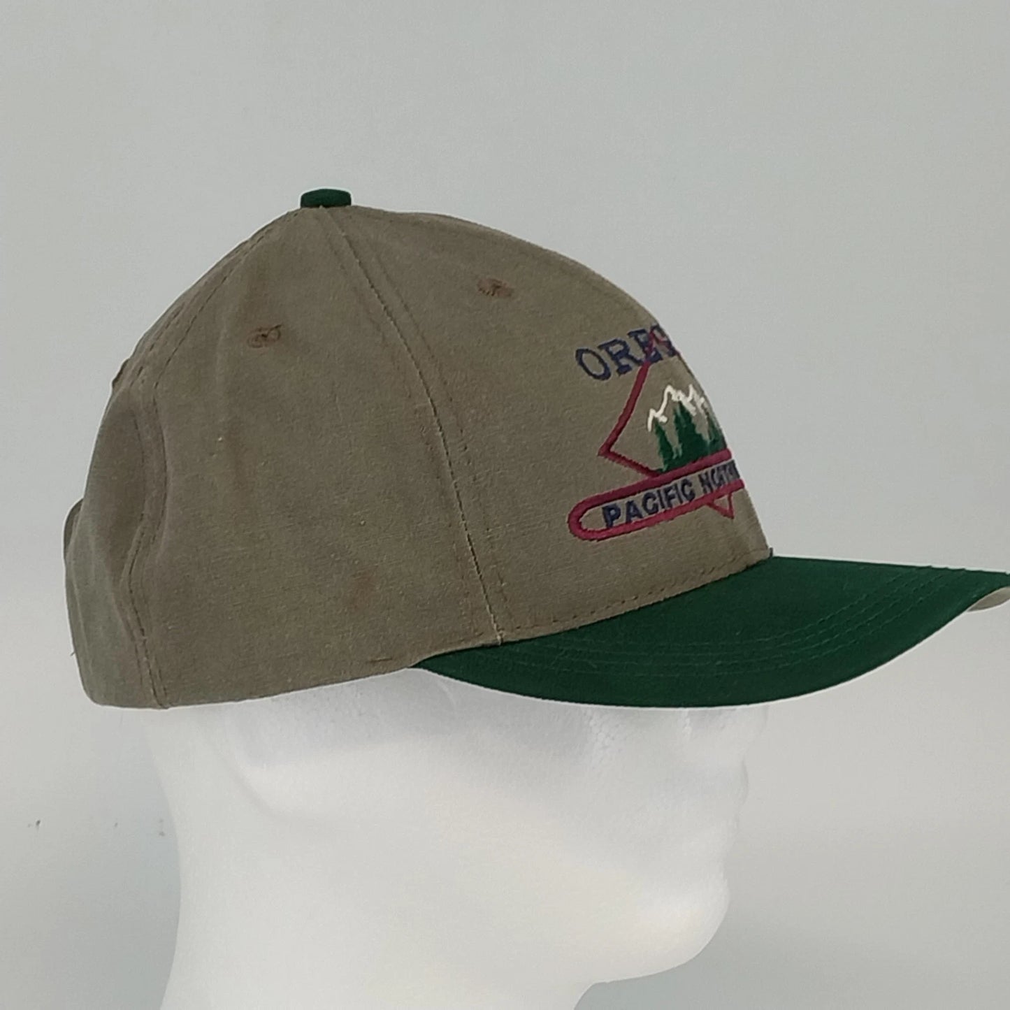 Vintage Oregon Pacific Northwest Snapback Hat USA Made Cap