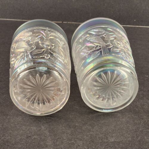 2 Imperial Robin Bird Tumblers Icy White Iridescent Carnival Glass Embossed 8 oz