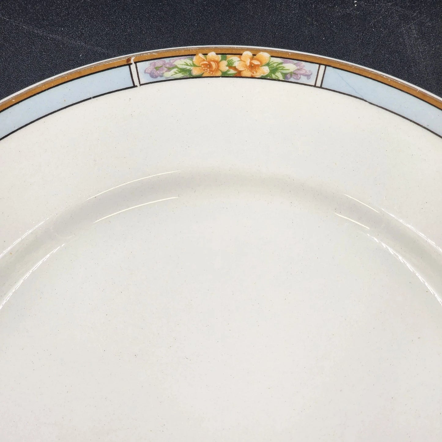 Nebraska Blue Dinner Plate 10" England Blue Rim Flower Accent J&G Meakin