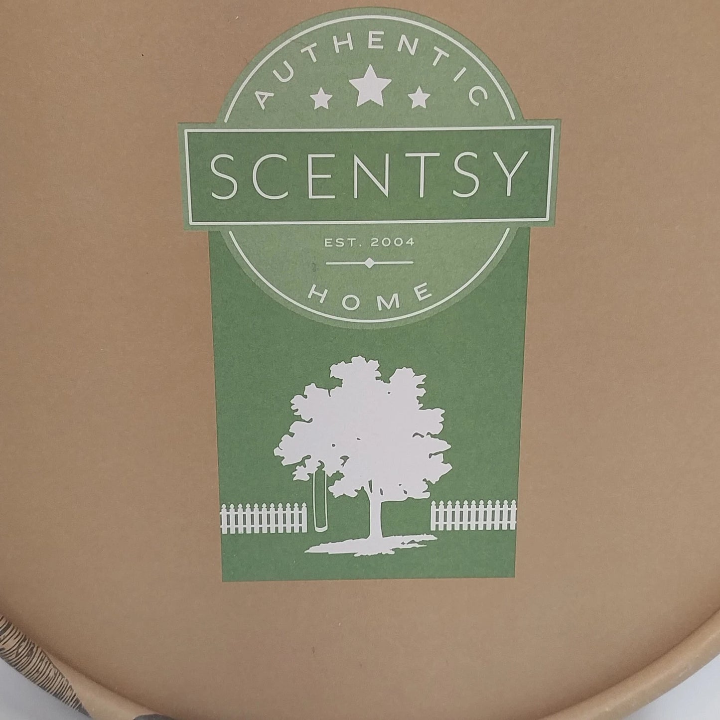 Scentsy Reflect Mercury Glass Diffuser Shade Silver Teardrop with Box 2015 China
