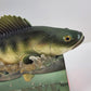 2007 Enesco Wistful Fisherman Walleye Composite Fish Display Figurine 9"L x 5"T