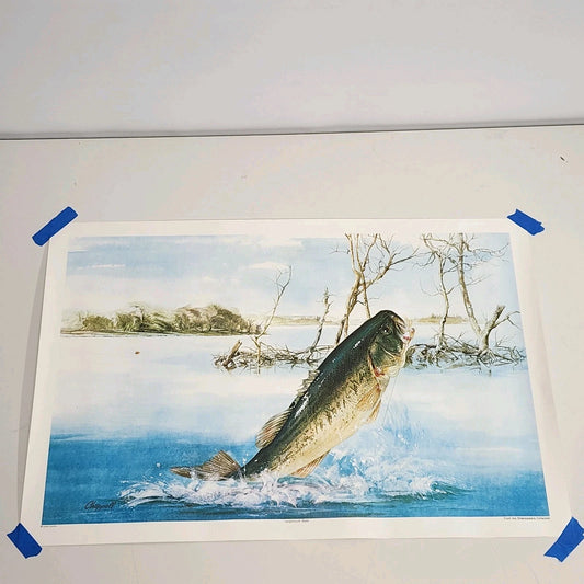 Art by Chappell Largemouth Bass Fishing Print Lure Rolled Wall Decor Vintage