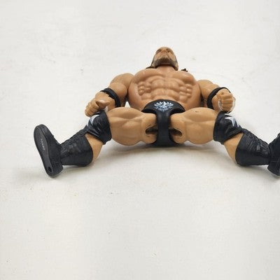 Masters of the Universe WWE MOTU Castle Grayskull Mattel Mania Triple H Figure
