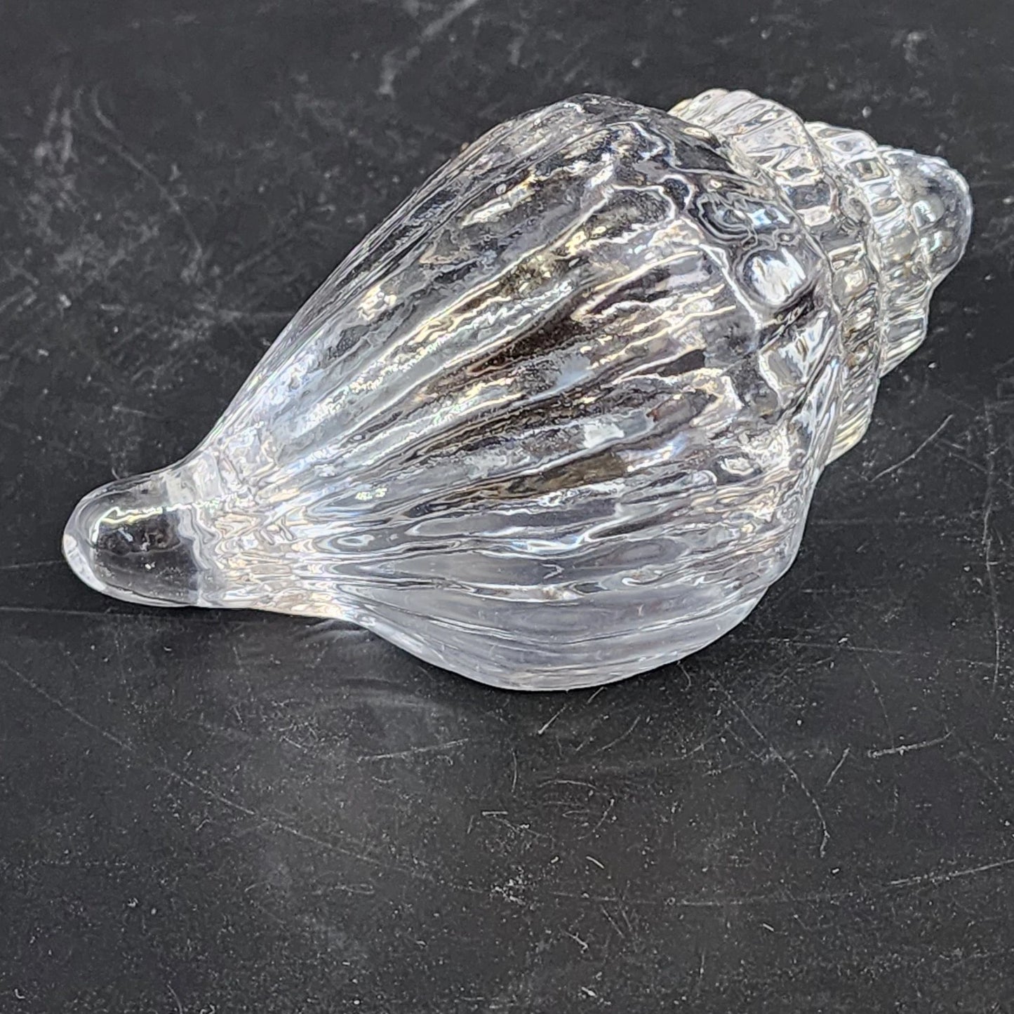 Clear Art Glass Conch Shell Paperweight Hand Blown Nautical Murano Style Decor