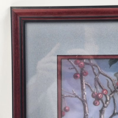"Red Splendor" Signed Cardinal Print by James Meger | Matted & Framed 9” x 11” Wildlife Art | Bird Lover Gift | Nature Wall Decor
