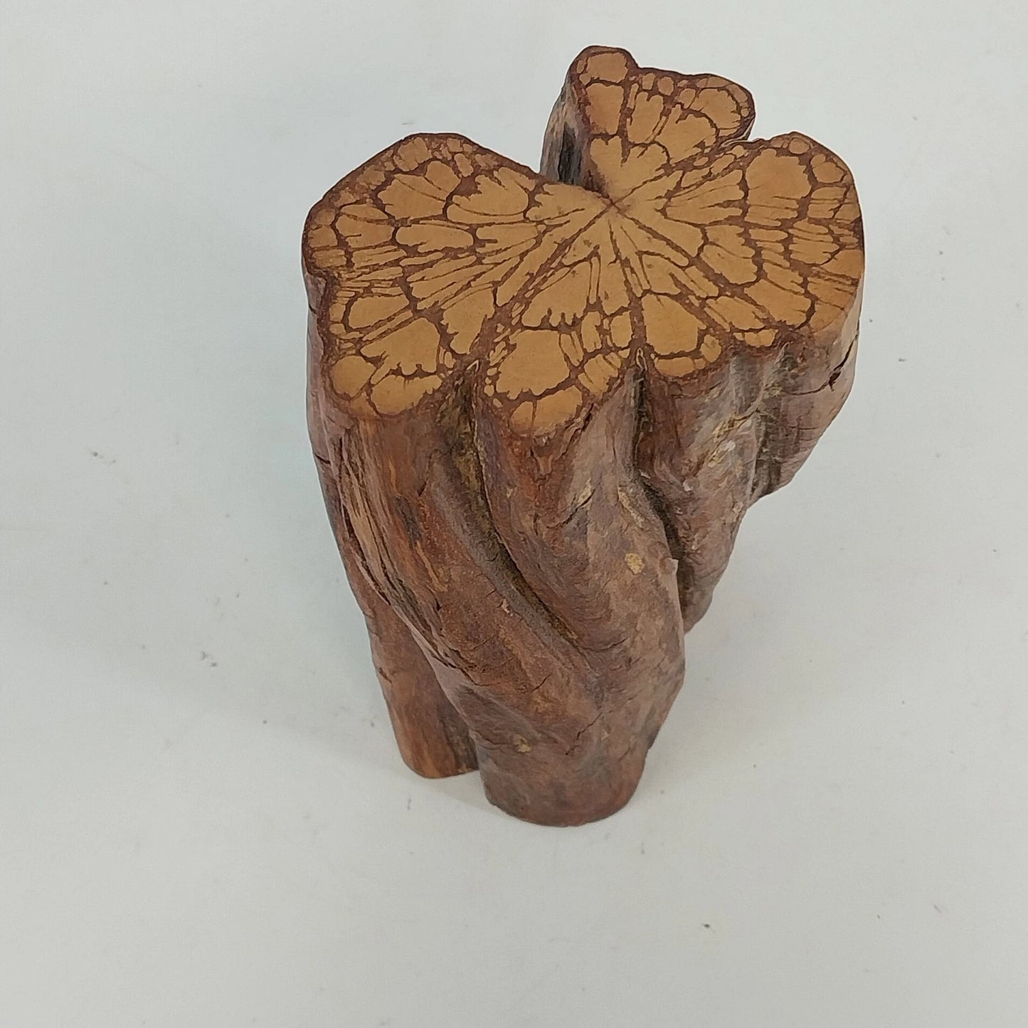 Solid Wooden Stump Rustic Decor Natural Finished Wood 6" Growth Rings Farmhouse
