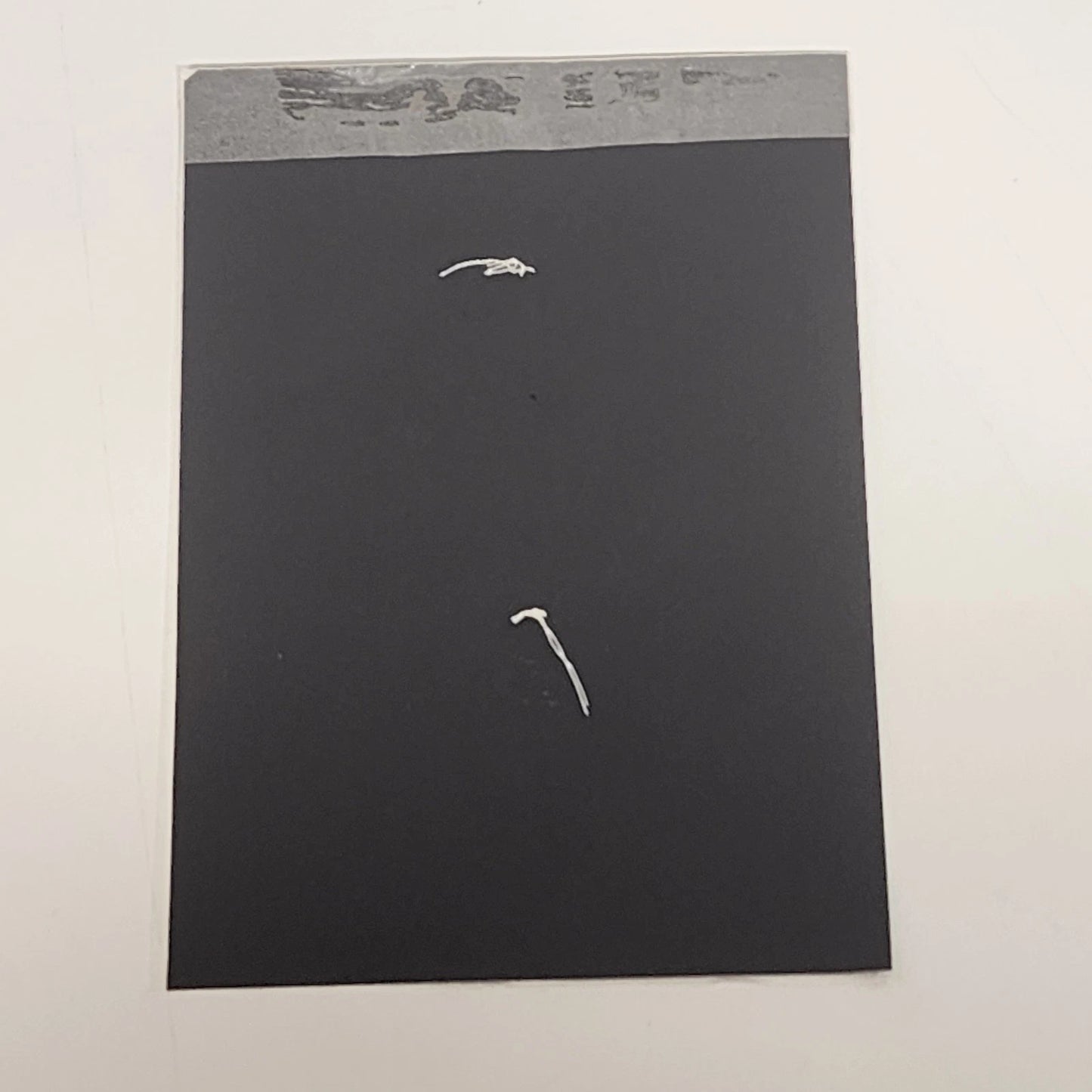 South Indian Peepal Skeleton Leaf Art Madonna & Child Hand Painted 6.5" Unframed