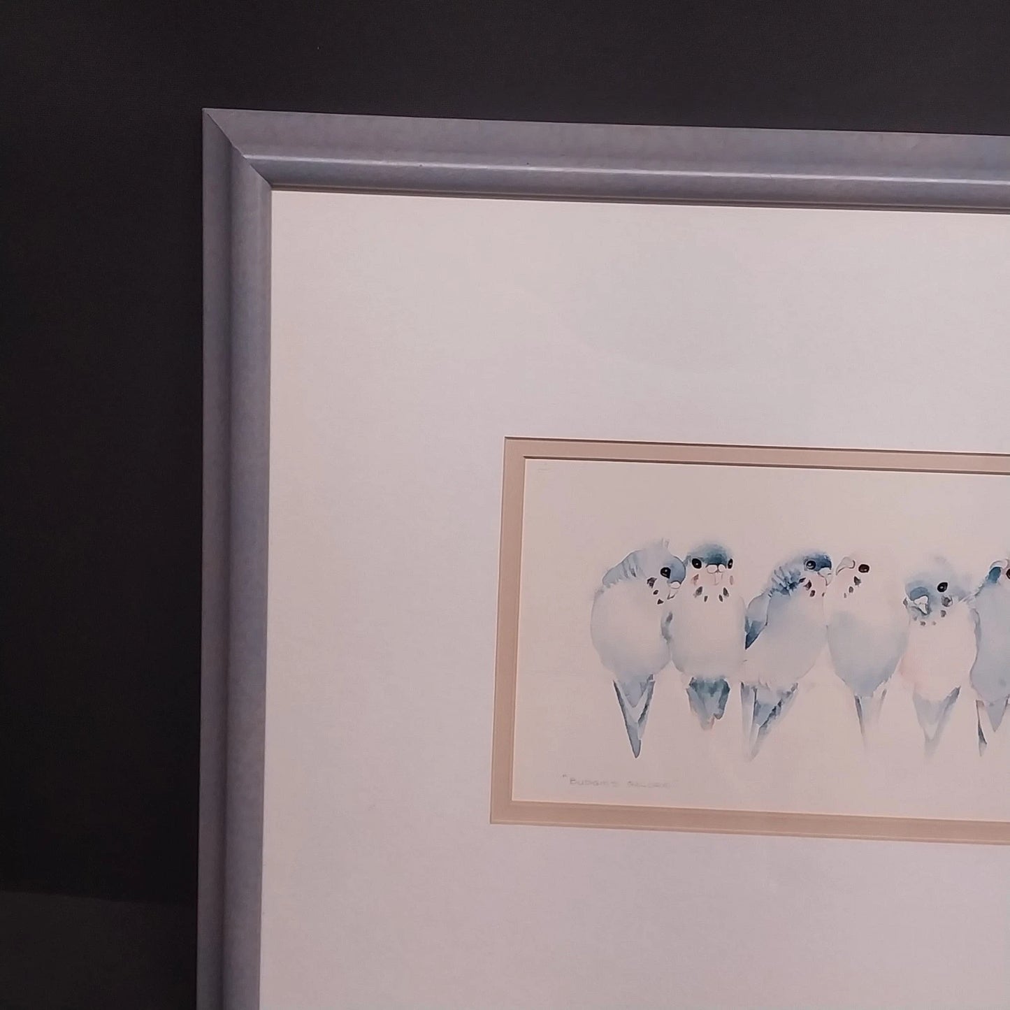 Valerie Pfeiffer Budgies Galore Framed Art Print Bird Watercolor