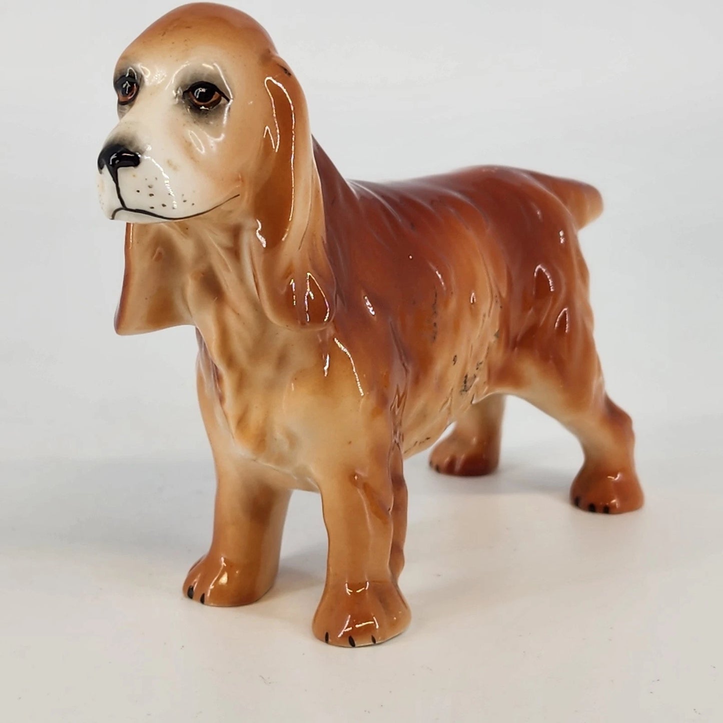 Adderley Bone China Cocker Spaniel Dog Figurine 6" Glossy Glazed England 1950's