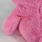 Care Bears Cheer Bear Plush 12" Pink Stuffed Animal Rainbow Belly Badge 2000's