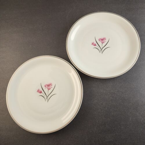 2 Salad Plates Caprice China Pattern by Easterling 8.25" Floral with Silver Trim