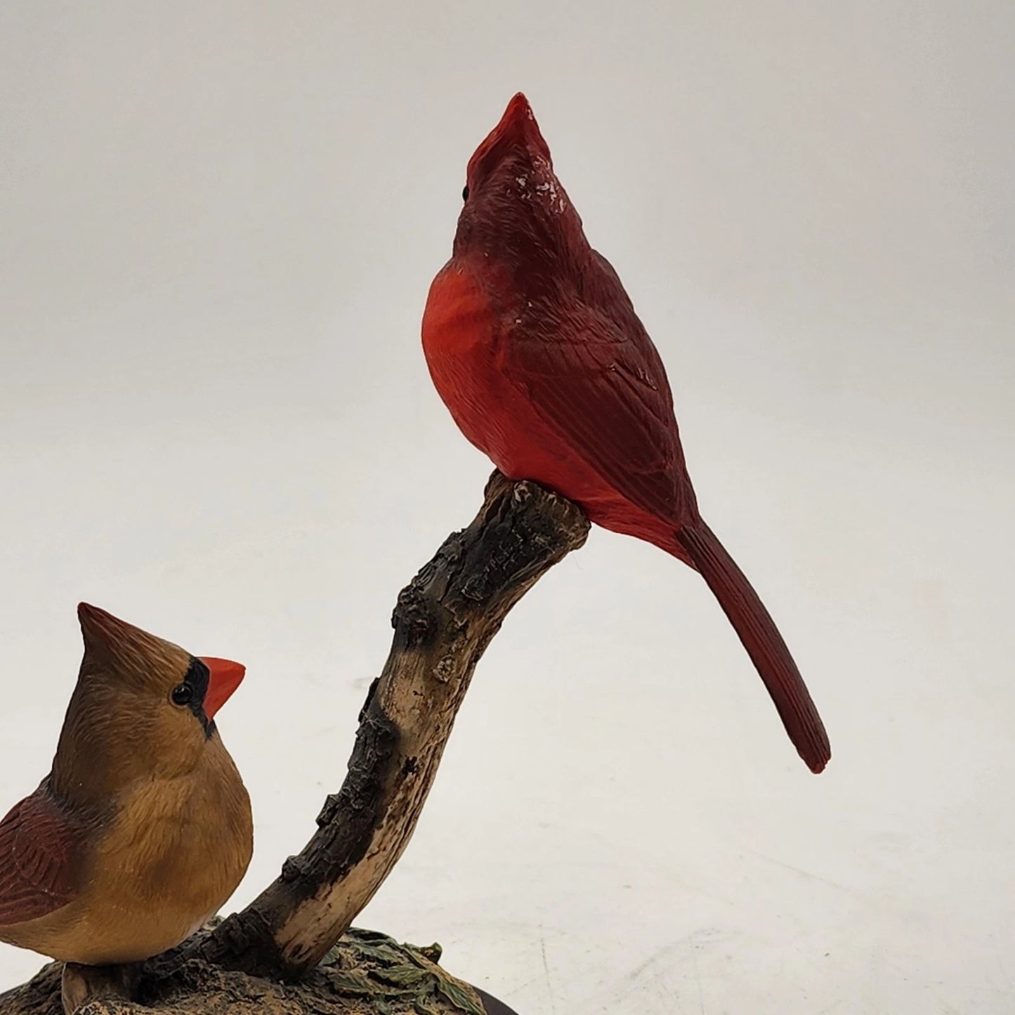 Backyard Brilliance Northern Cardinals Audubon Coll by Richard Lawson Numbered