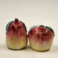 Apple & Pear Salt and Pepper Shakers Set Figural Ceramic Homemade Kitchen Decor