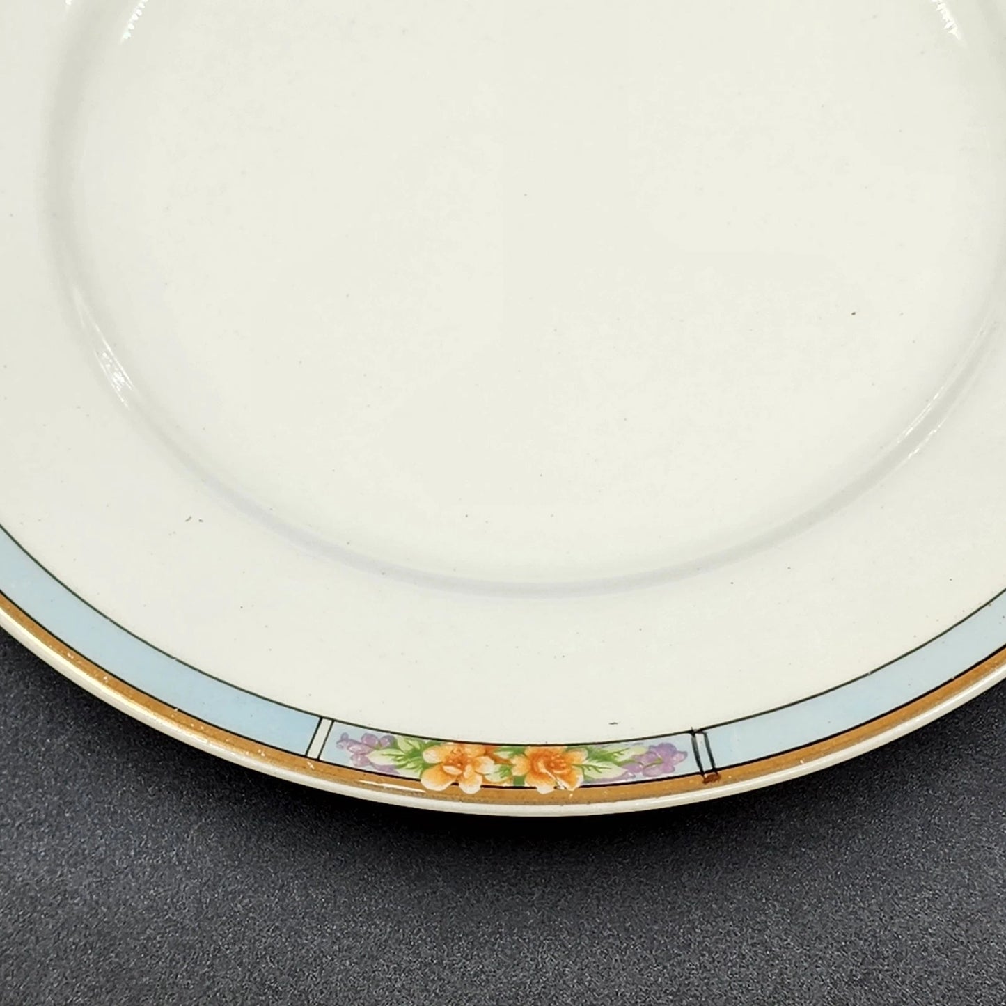 Nebraska Blue Dinner Plate 10" England Blue Rim Flower Accent J&G Meakin