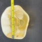 Akro Agate Caramel Slag Glass Bowl Scalloped Paneled Swirl