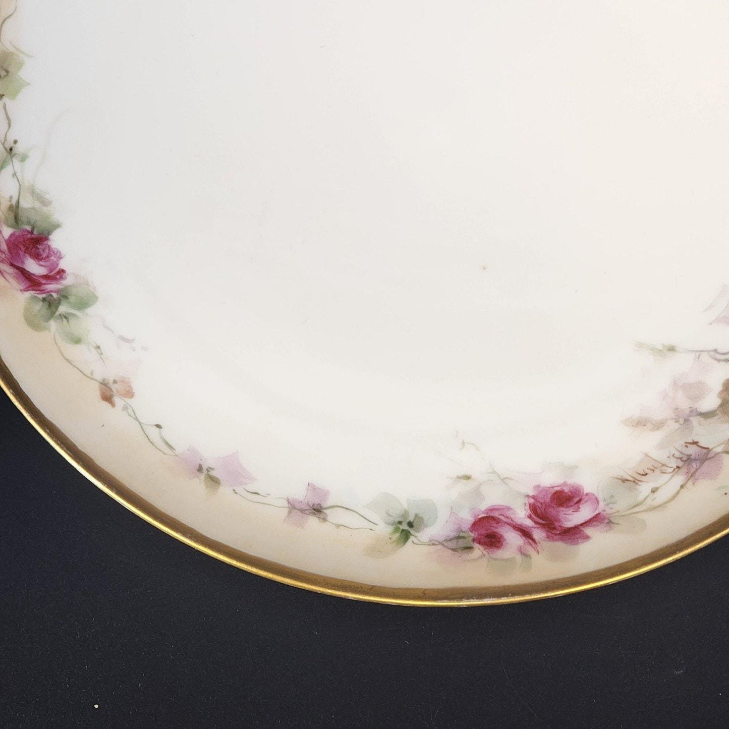 Haviland Limoges France Antique Hand Painted Rose Plate Heavy Gold Rim 9.25"x1"