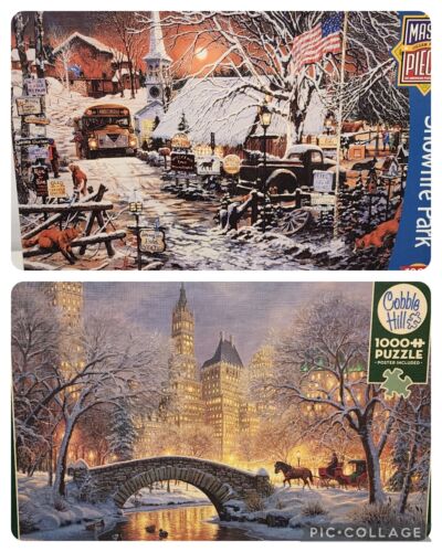 2 Jigsaw Puzzles 1000 Pcs Cobble Hill WINTER IN PARK Master Pieces SNOWFIRE PARK