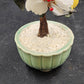 Glass Jade Stone Asian Bonsai Tree Celadon Pot Pink Yellow Floral 6.5"