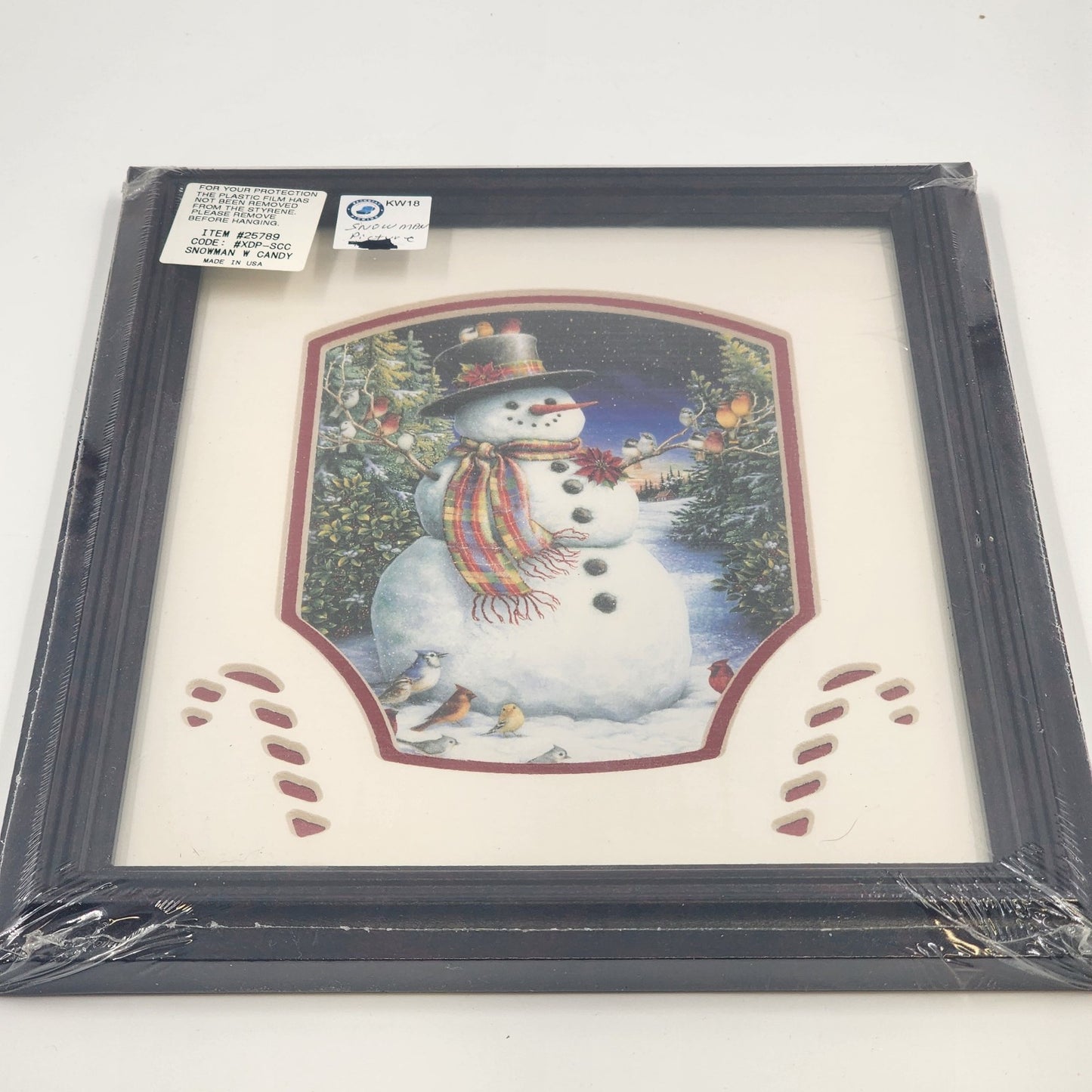 Feathered Friends Snowman Birds Framed Art 8x10 Sealed Matted Dark Wood Frame US