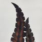 Metal Fern Floral Leaf Candle Holder Brown Holds Large 4" Pillar 19.5" Decor
