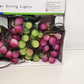 Grape Cluster String Light Set 6 Clusters 150 Lights Red Green New NOS Vintage