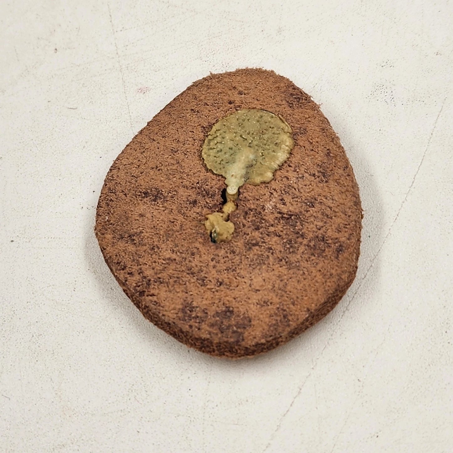 2 Handmade Brass Leather Pins Art Craft Scout Project Seahorse & Anchor 2" Vtg