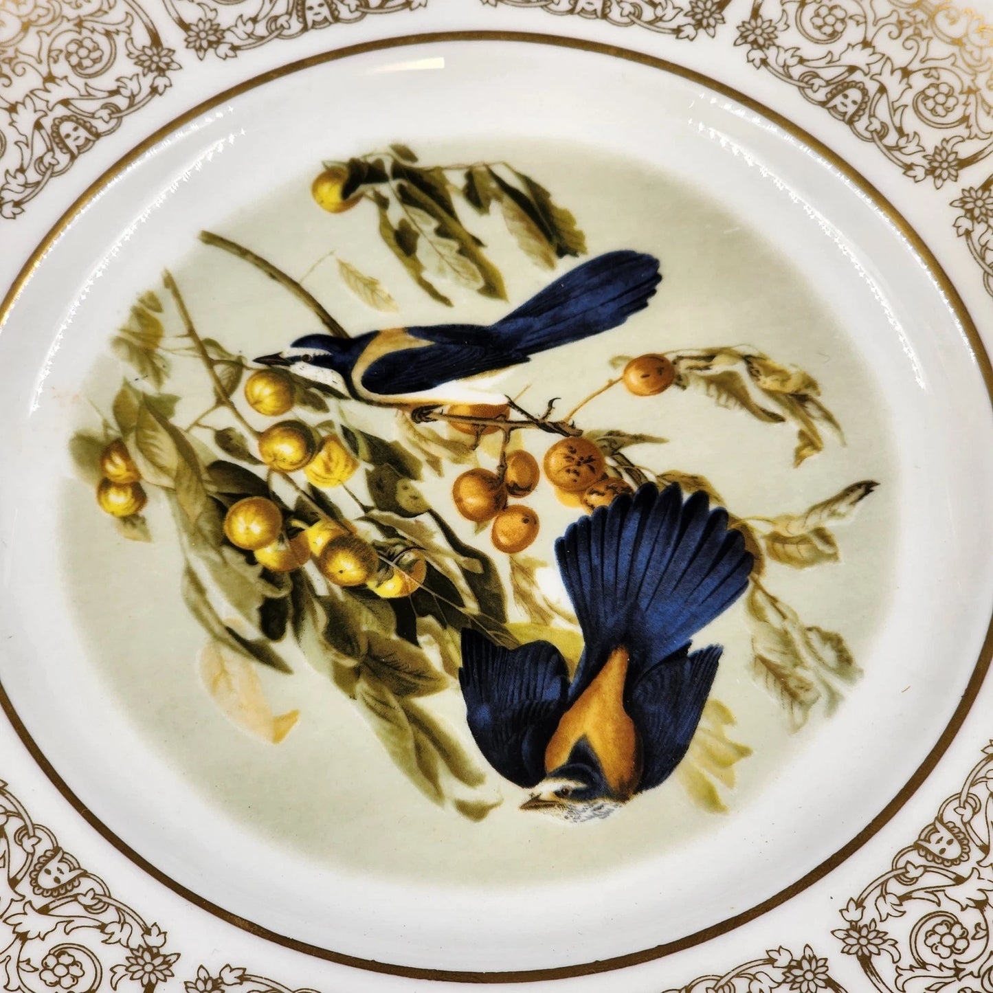Wittnauer Collectors' Guild Plate LBE90 Scrub Jays Audubon Bone China 8.25" 1820