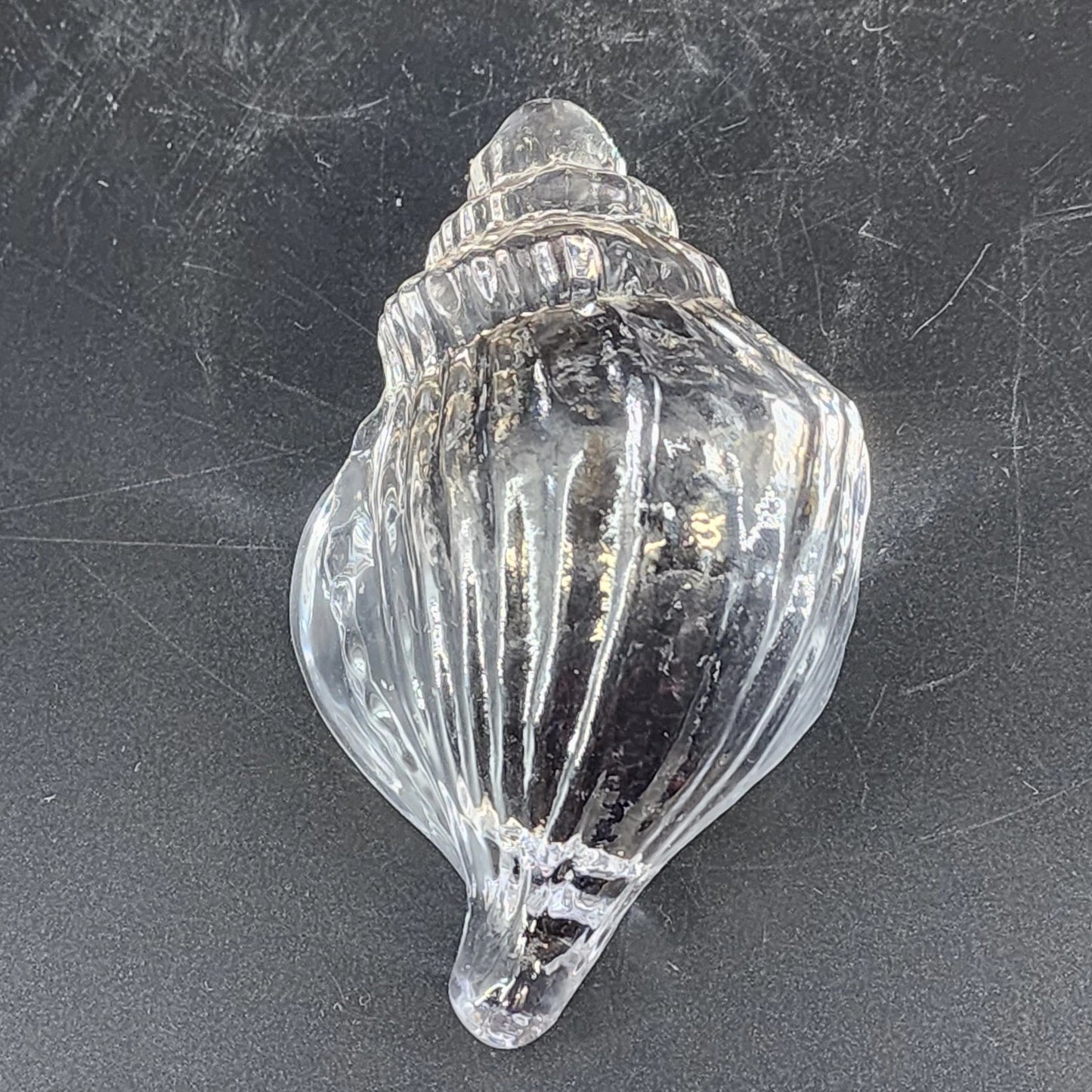 Clear Art Glass Conch Shell Paperweight Hand Blown Nautical Murano Style Decor